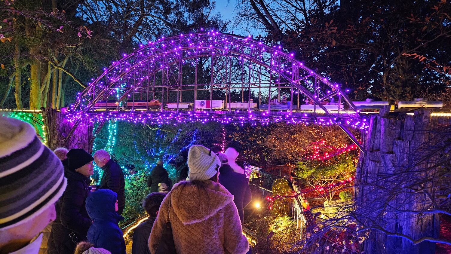 Arboretum is all lit up for the holidays | The Chestnut Hill Local